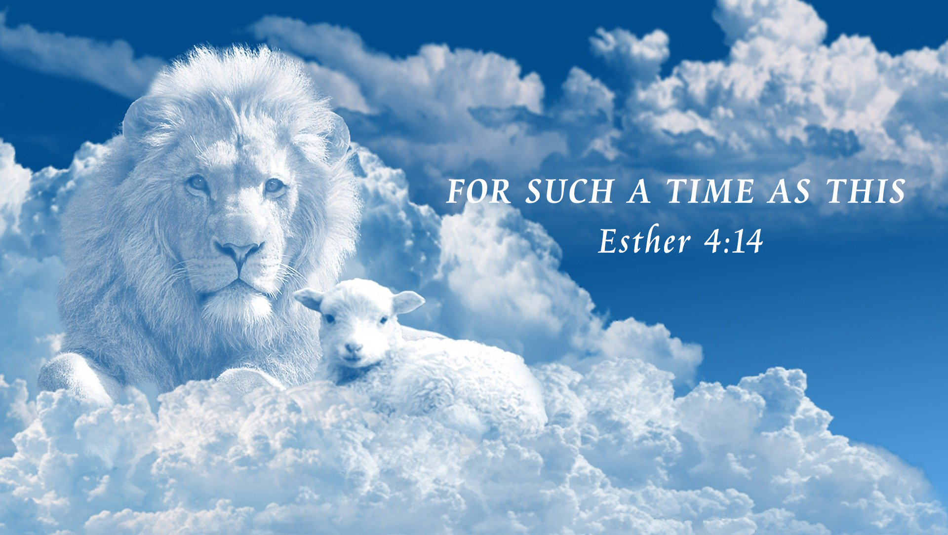 for-such-a-time-as-thie-Lion and Lamb