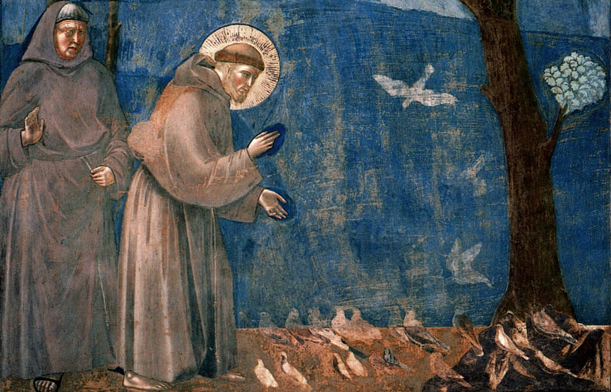 st-francis_03